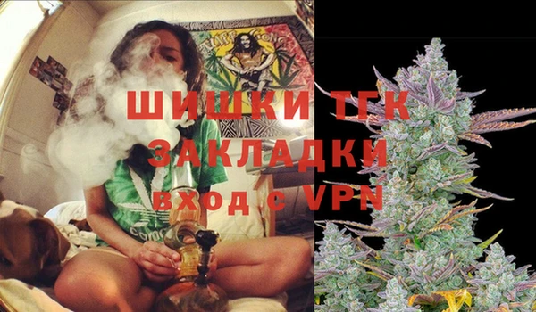ешки Инта
