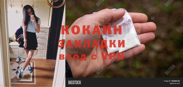 ешки Инта