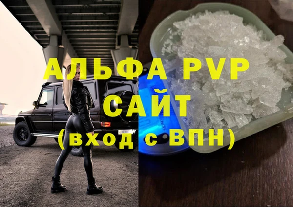 2c-b Инсар