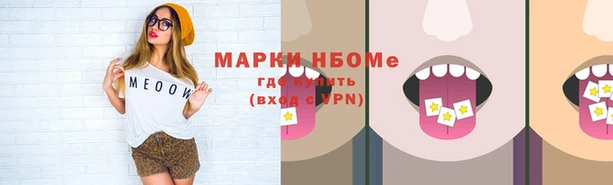 ешки Инта