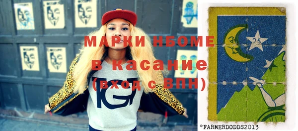 2c-b Инсар