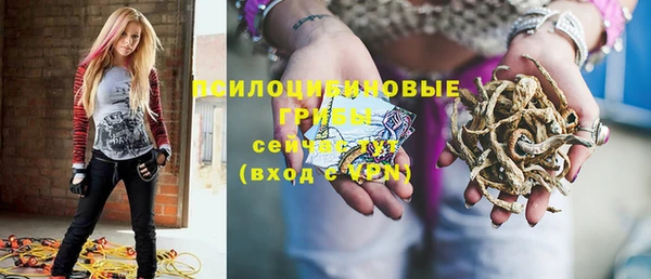 ешки Инта