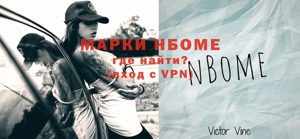 2c-b Инсар