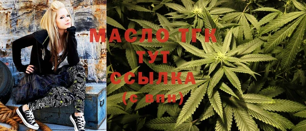 2c-b Инсар